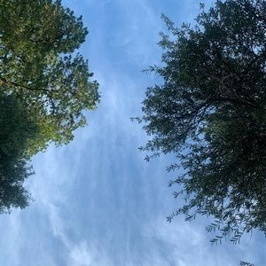 Meet your Posher, Alondra